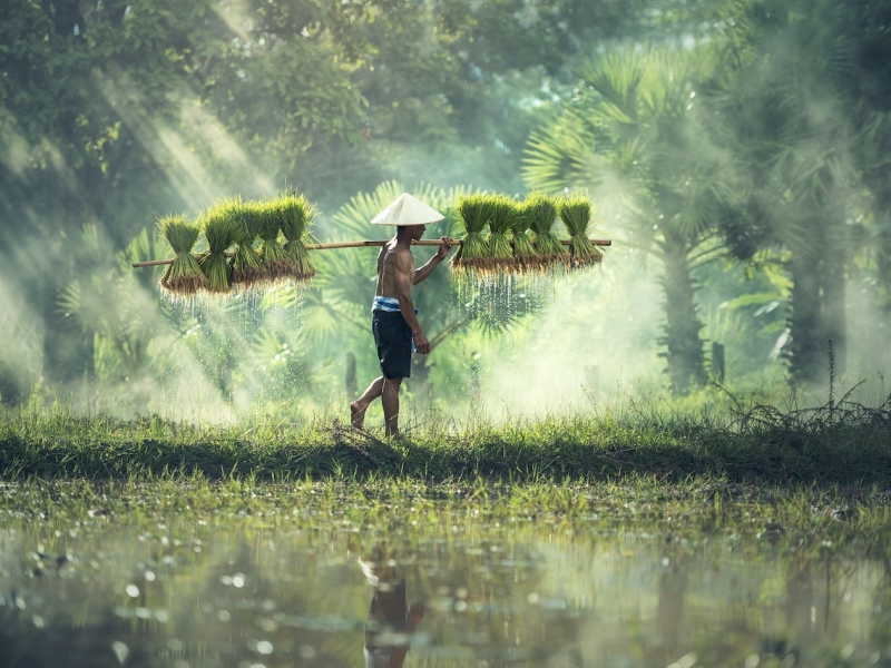 Nullam Haoreet Sapien Fitamet Zaugue Dapibus Eharetra